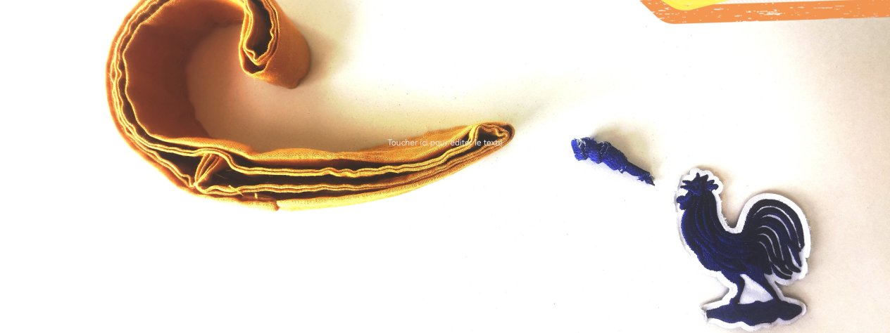 Intervention de la Ligue des Droits de l'Homme au lycée Raoul Georges NICOLO