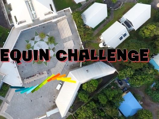 Le lycée fait son mannequin challenge
