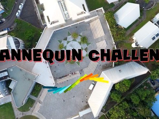 Le lycée fait son mannequin challenge