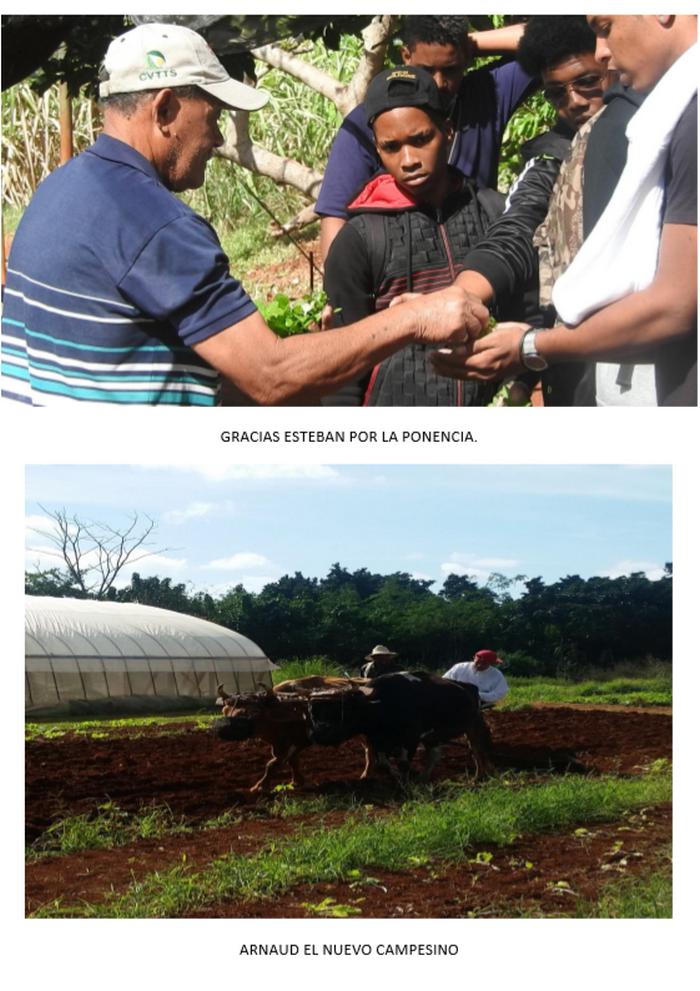 PNG - 1.4 Mio