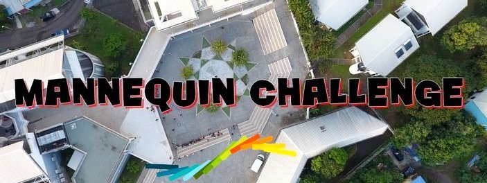 Le lycée fait son mannequin challenge