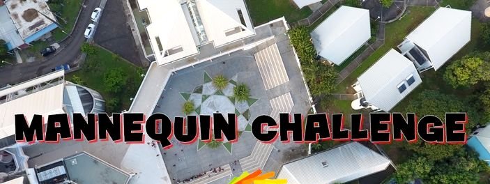 Le lycée fait son mannequin challenge